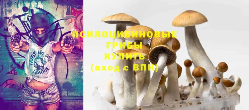 Псилоцибиновые грибы Magic Shrooms  ОМГ ОМГ   Тюмень  цены  